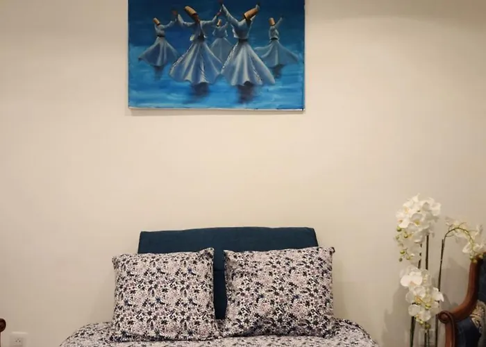 Apartament Location Luxe Villejuif